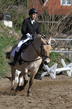 Bild 66 - WBO-Turnier am 9.4.11